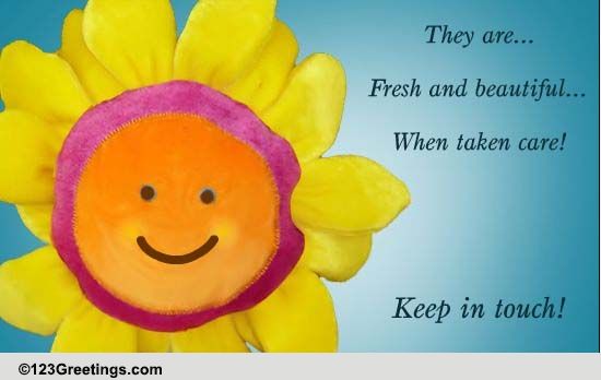 Keep in Touch Cards, Free Keep in Touch Wishes, Greeting Cards | 123 ...