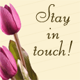 Stay In Touch!