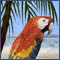 You're Invited To My Beach Party!