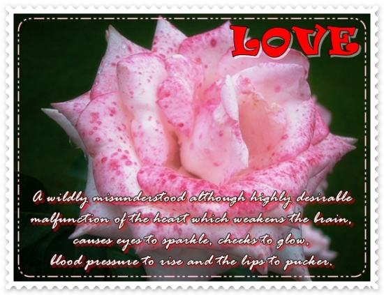 Love Is The Answer.