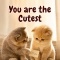 Woo Someone