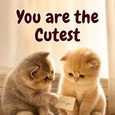 Woo Someone