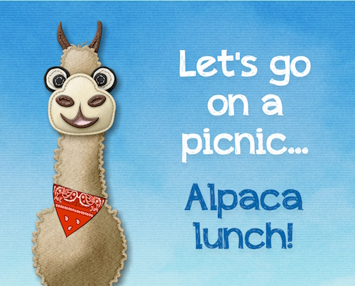 Alpaca Picnic!