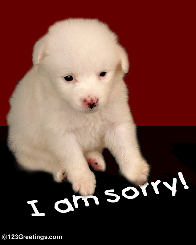 i-am-really-sorry-free-i-am-sorry-ecards-greeting-cards-123-greetings