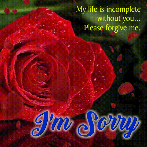 My Sorry Card For You.