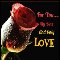 Beautiful Card For Your True Love.
