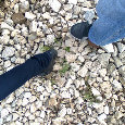 I Miss You.