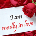 My Spirit Is Madly In Love With You...
