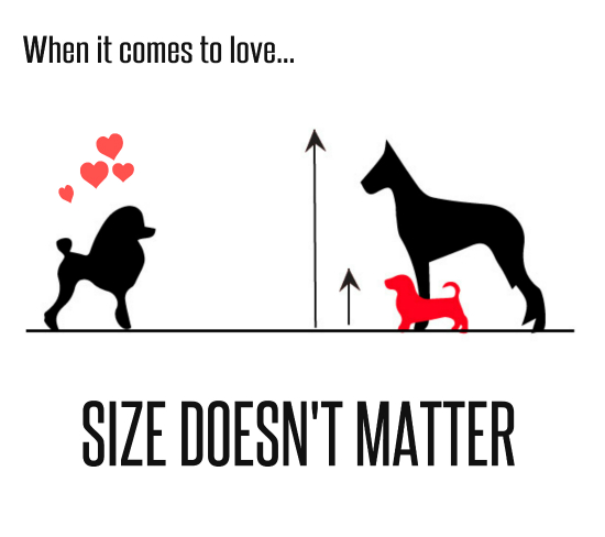Love Size Chart