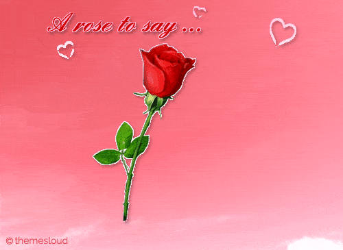 A Rose To Say, ’I Love You’...