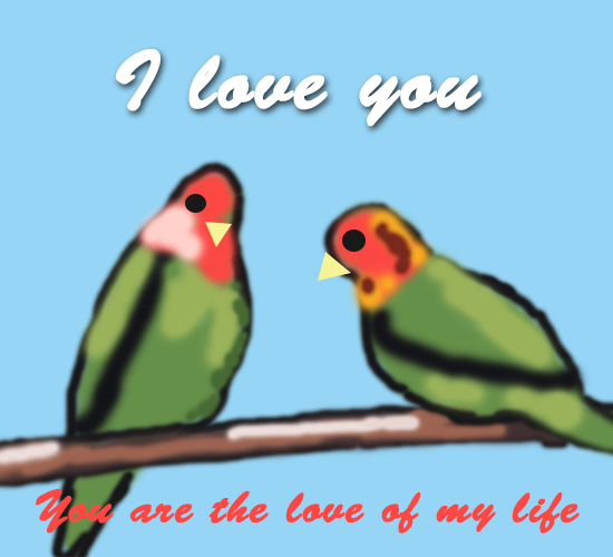 I Love You, Love Birds...