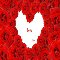 Love Just Love...