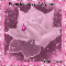 A Rose Of Love.
