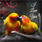 A World Of You %26 Me.