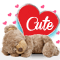 Cute Love.