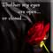 I Am Always Dreaming...