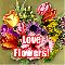Love Is Full Of Flowers!