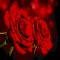 You%92re My Last...