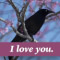Cute Bird Says I Love You.