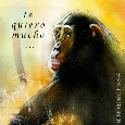 Hombre In Love