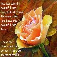 Love With The Thorns.