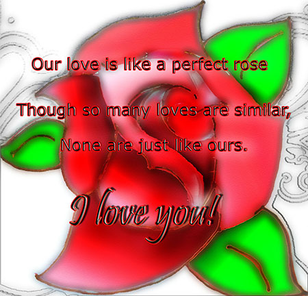 Perfect Rose Perfect Love.