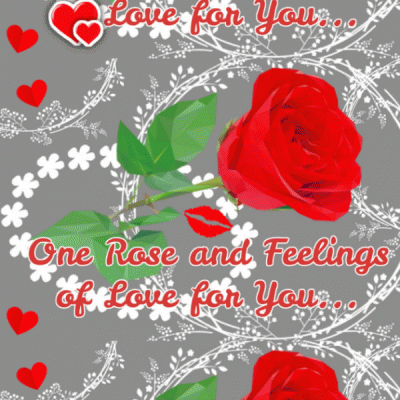 One Rose And My Love...