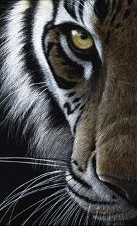 Got My Eye On You.