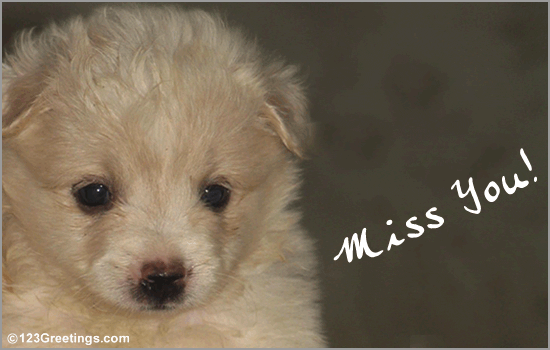 A cute miss you card with a pup that will warm your sweetheart's heart.