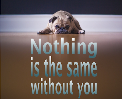 Nothing Is The Same Without You! Free Missing Her eCards, Greeting Cards