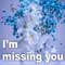 I Am Missing You With Flowers