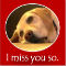 I Don%92t Like Being Without You!