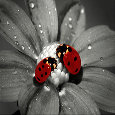 You Add Colors In My Life.