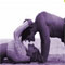 Romance Will Caress Me...