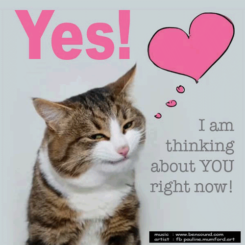 Thinking Of You By Smirky Cat. Free Thinking of You eCards | 123 Greetings