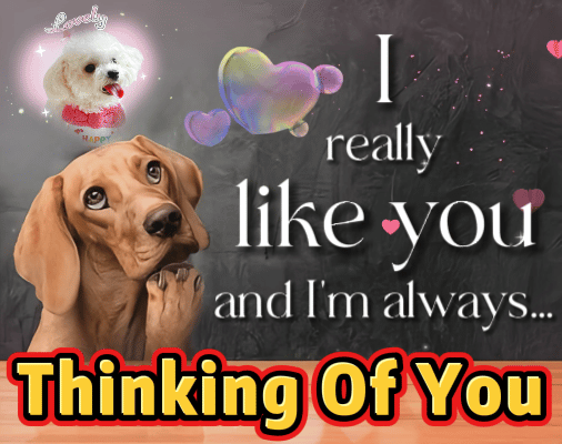 I’M Always Thinking About You.