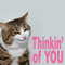 Thinking Of You By Smirky Cat.