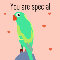 You Are Special Parrot.