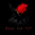 Rose.