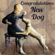 New Dog Congratulations Vintage Look.
