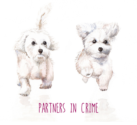 Partners In Crime.