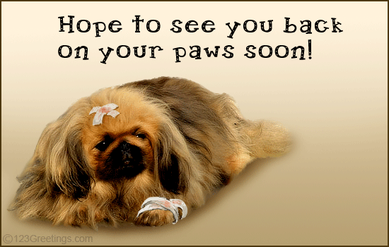 Pictures For Get Well Soon. Get Well Soon Greetings!