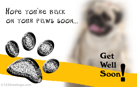 get well soon puppy ecard