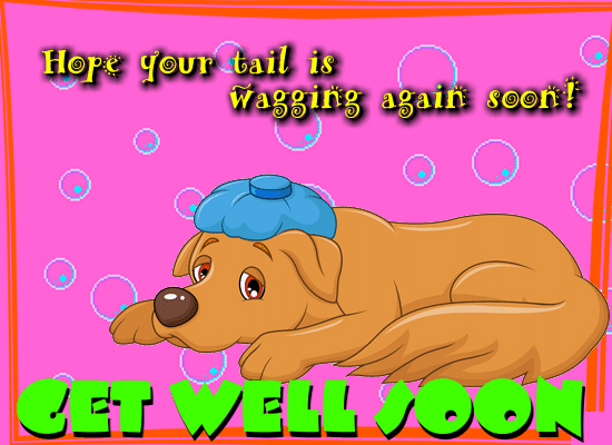 Hope Your Tail Is Wagging Again Soon!