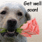 Say Get Well With Flowers!
