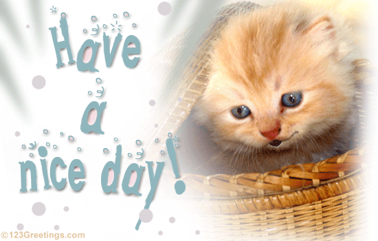 Have A Nice Day Free Have A Great Day Ecards Greeting Cards 123 Greetings