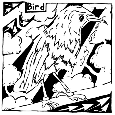 Bird Maze.