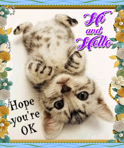 Hi, Hope You’re Ok...