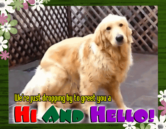 Dogs Greet You Hi And Hello.