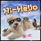 A Pet Hi-Hello Greeting E-card.